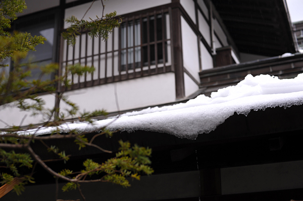 202 12 DSC_6465.jpg